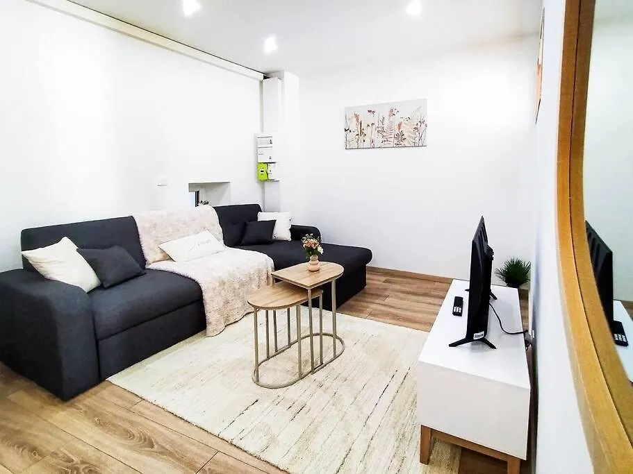 Charme De L'Isere Au Coeur De Ville Romans-sur-Isère Appartement